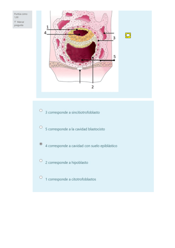 Miniatura del documento examen-practica-2021-embrio.pdf