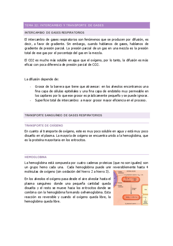 Miniatura del documento TEMA-32-interacmbio-y-transporte-de-gases.pdf
