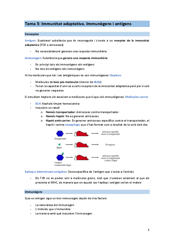 Miniatura del documento T5-IMM.pdf
