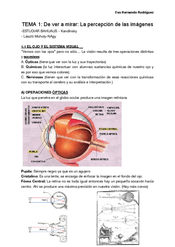Miniatura del documento TEORIA-DE-LA-IMAGEN.pdf