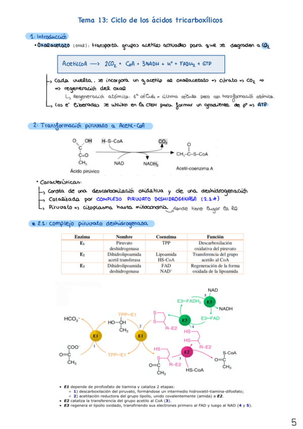Miniatura del documento Tema-13.pdf