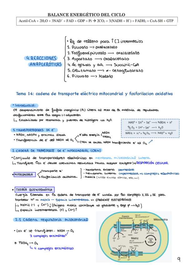 Miniatura del documento Tema-14.pdf