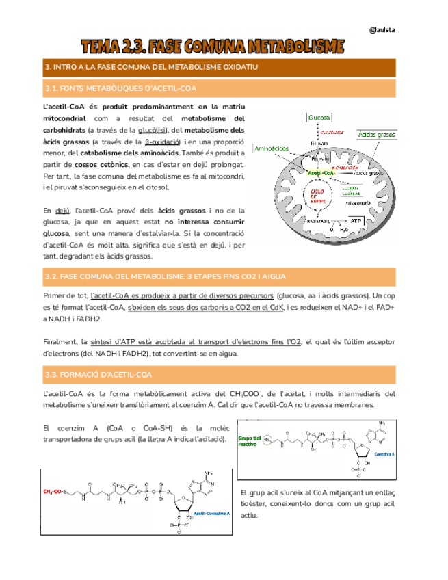 Miniatura del documento Tema-2.3-Nutri.pdf
