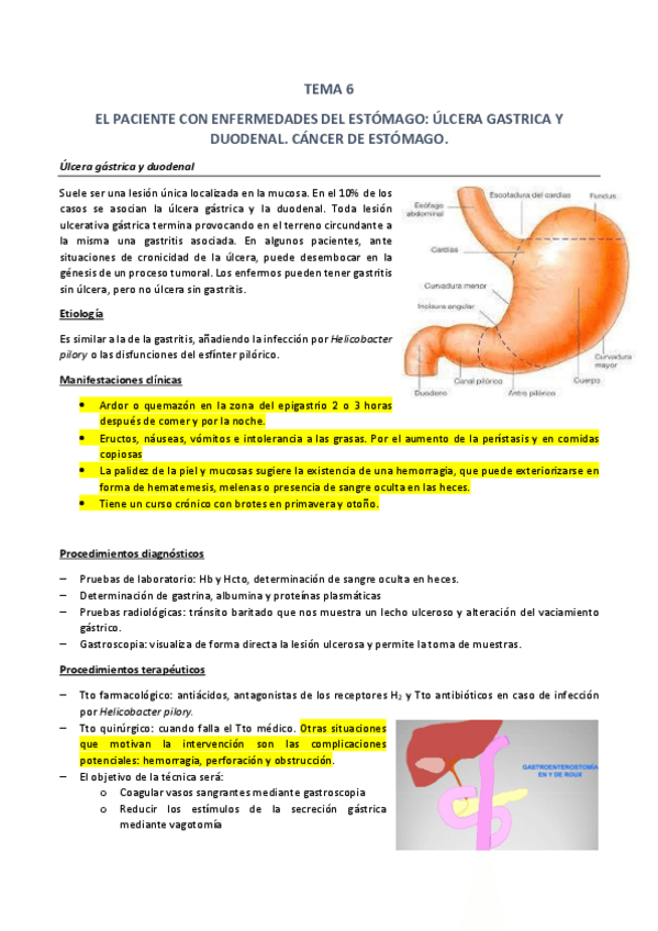 Miniatura del documento 6 ESTÓMAGO.pdf