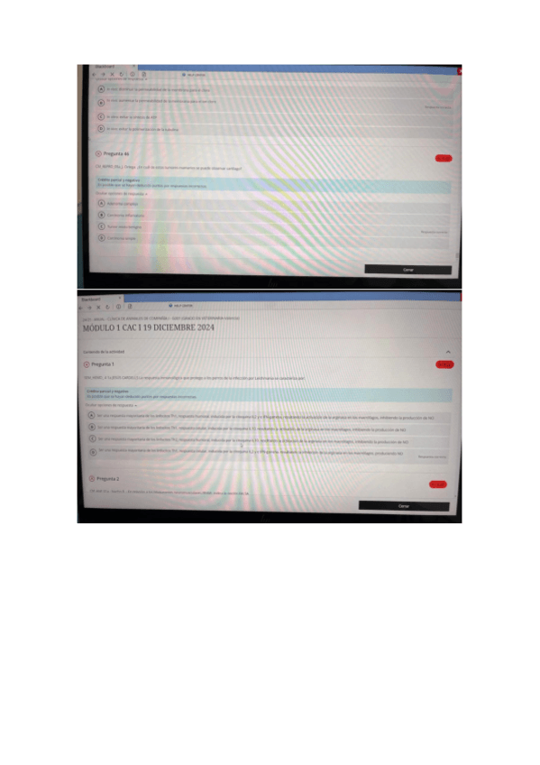 Miniatura del documento CAC-mod-1-diciembre-24.pdf