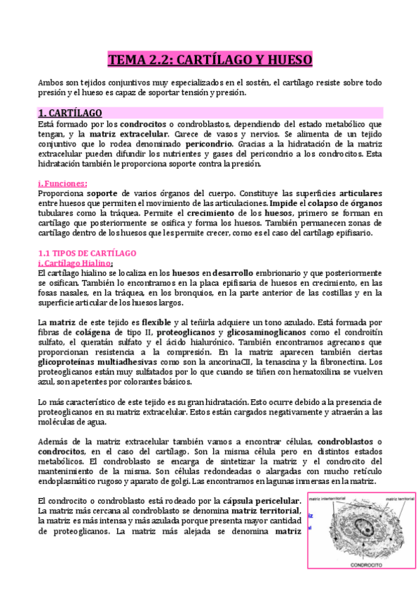 Miniatura del documento T2.2-CARTILAGO-Y-HUESO.pdf