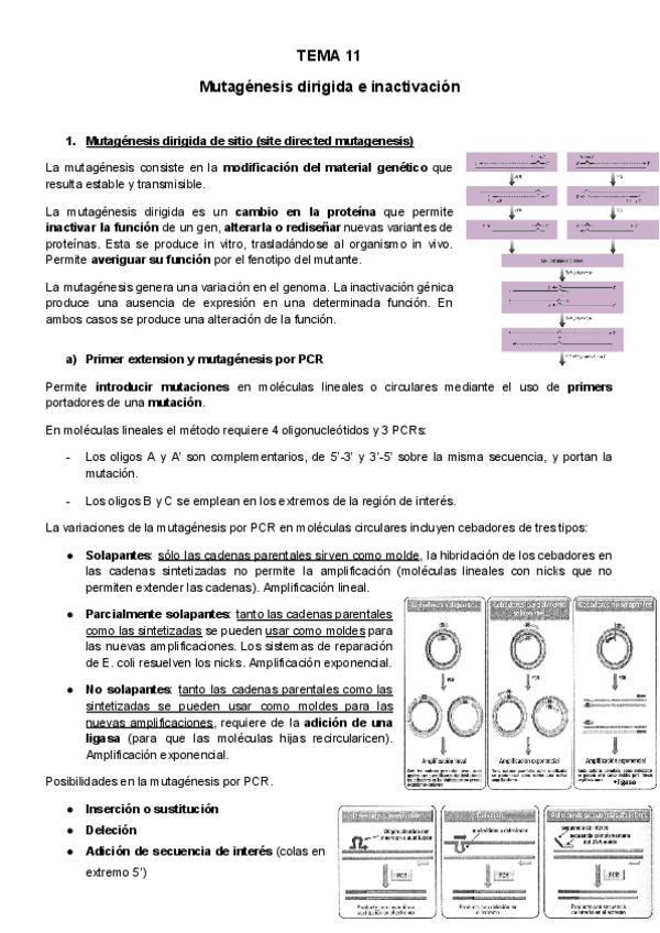 Miniatura del documento Tema-11-IG.pdf