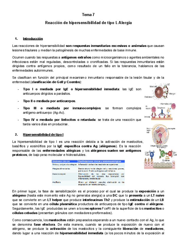 Miniatura del documento Tema-7-IA.pdf