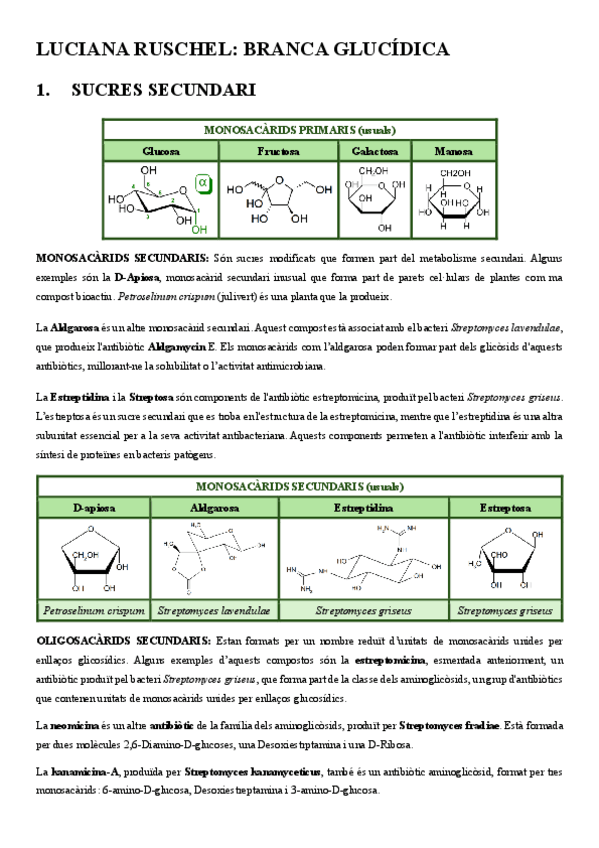 Miniatura del documento BrancaGlucidica.pdf