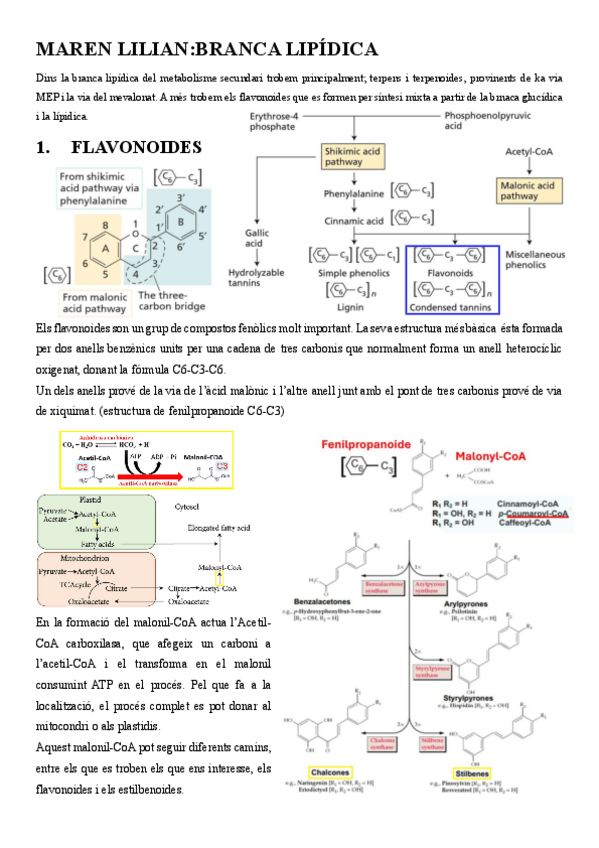 Miniatura del documento BrancaLipidica.pdf