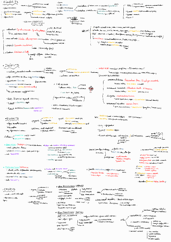 Miniatura del documento Esquema-resum-FINAL.pdf