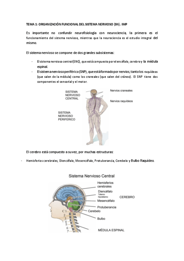 Miniatura del documento RESUMEN TEMA 1.pdf