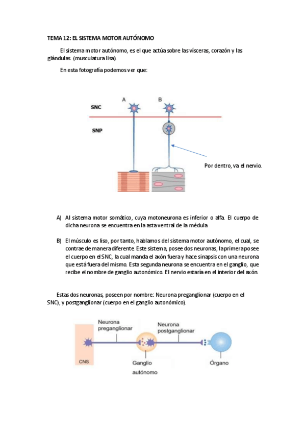Miniatura del documento RESUMEN TEMA 12.pdf