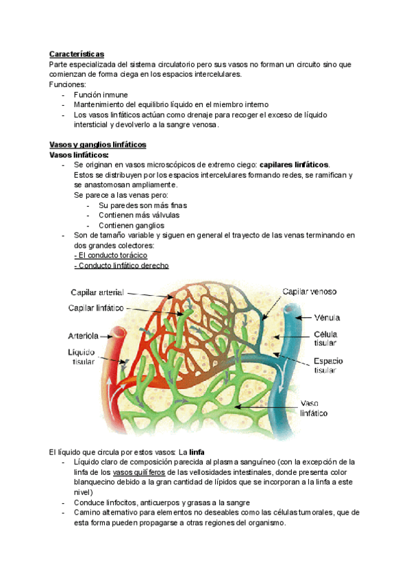 Miniatura del documento Sistema-linfatico.pdf