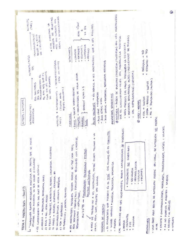 Miniatura del documento Bromato-p2-1.pdf