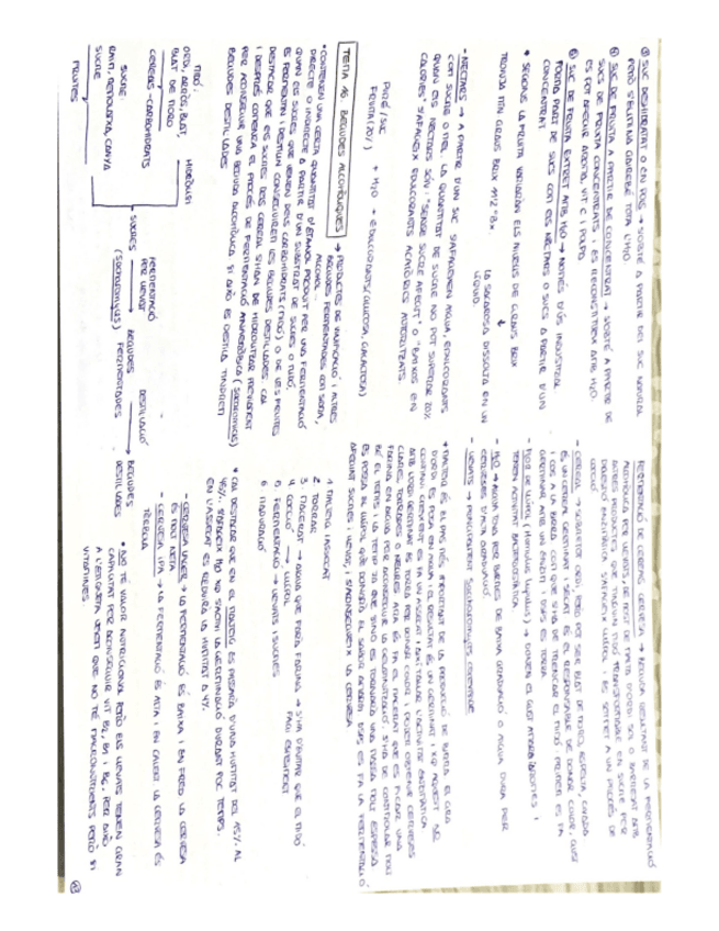 Miniatura del documento Bromato-p2-2.pdf