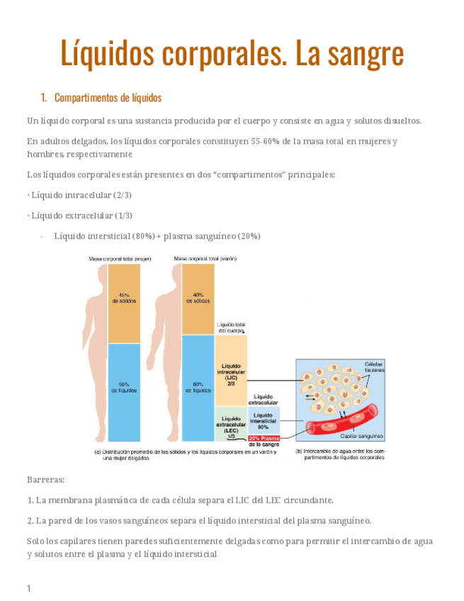 Miniatura del documento Tema-3.pdf