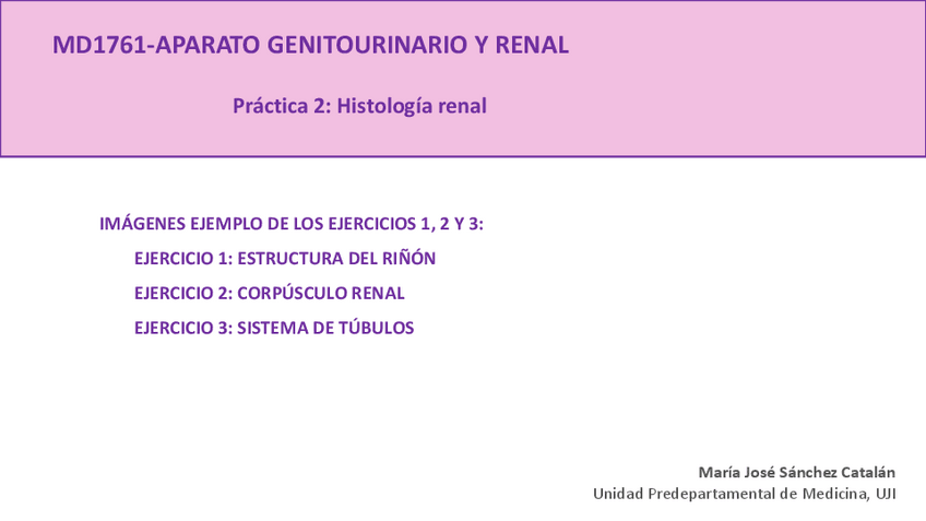 Miniatura del documento Practica-1.-Histologia-Renal.-Imagenes-de-los-ejercicios-1-2-y-3.pdf