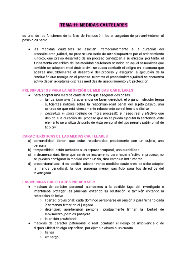 Miniatura del documento TEMA-11-MEDIDAS-CAUTELARES.pdf
