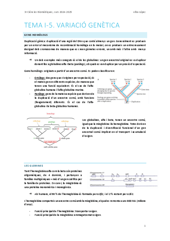 Miniatura del documento Tema-I-5.-Variacio-genetica.pdf