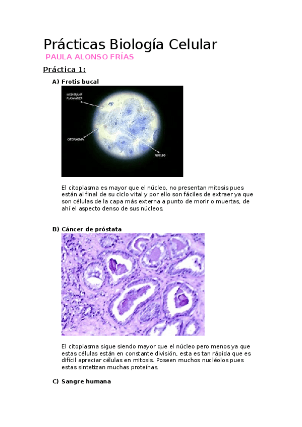 Miniatura del documento Prácticas Biología Celular.docx