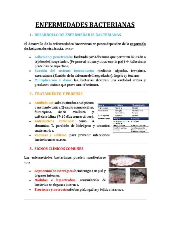 Miniatura del documento T5-Y-T6.-Enfermedades-bacterianas.pdf
