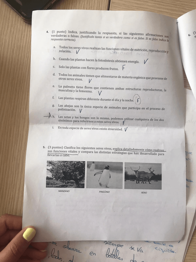 Miniatura del documento bcacf613-dafd-4022-9bef-7621fa254ce9.jpeg