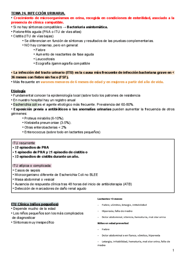 Miniatura del documento TEMA-24.-ITU.pdf