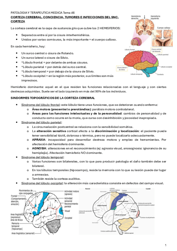 Miniatura del documento PATOLOGIA-Y-TERAPEUTICA-MEDICA-Tema-46.pdf