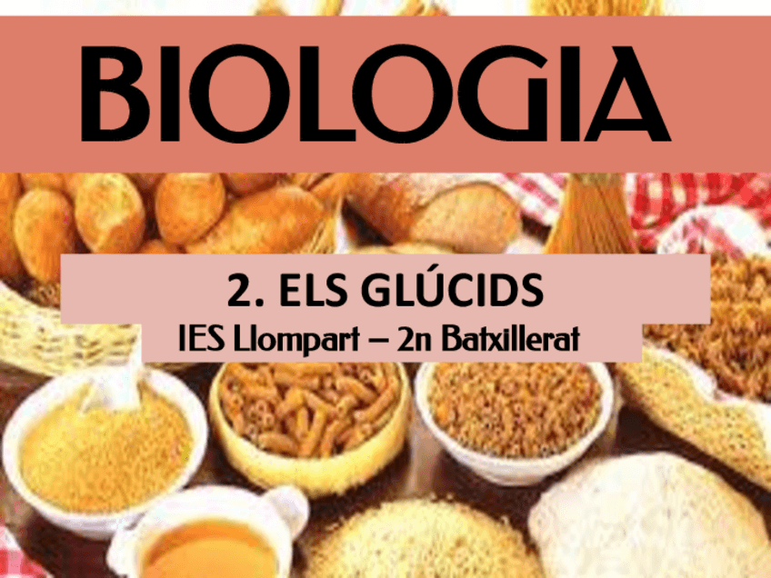 Miniatura del documento 002425SA-2-ELS-GLUCIDSPresentacio-Sabers-Basics.pdf