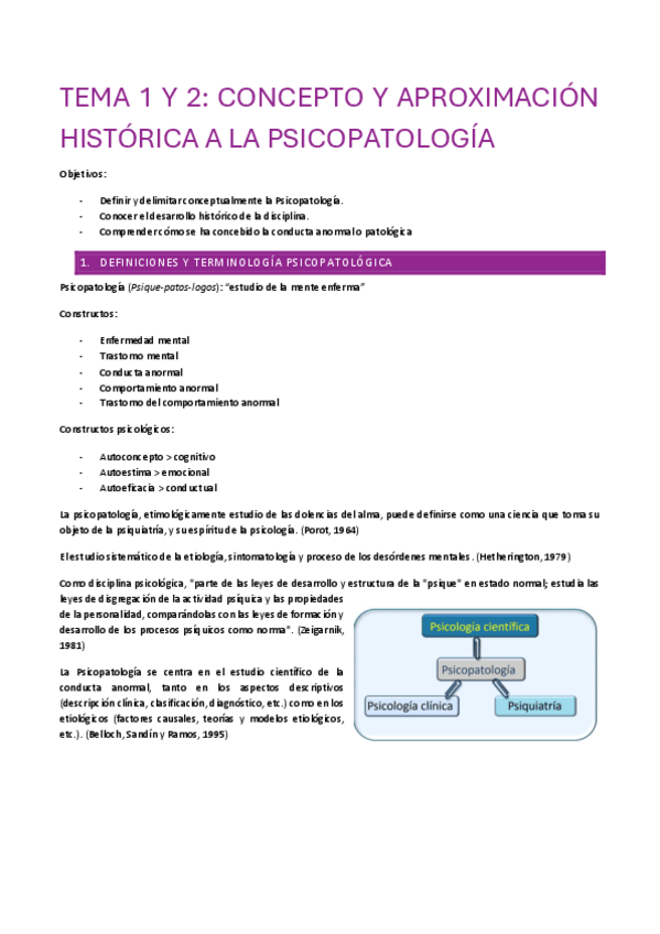 Miniatura del documento PSICOPATOLOGIA-APUNTES-DE-CLASE.pdf