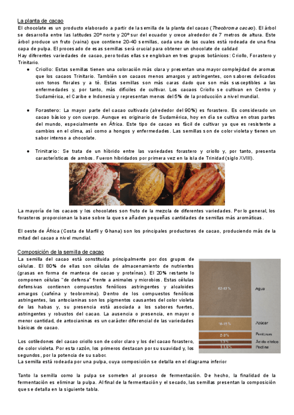 Miniatura del documento Tema-10.-Chocolate.pdf
