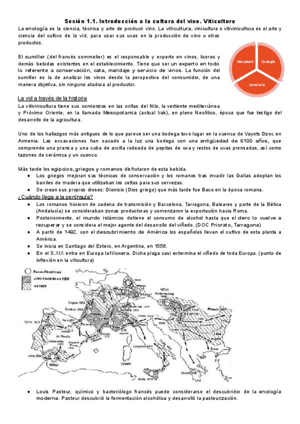 Miniatura del documento Sesion-1.1.-Introduccion-a-la-cultura-del-vino.pdf