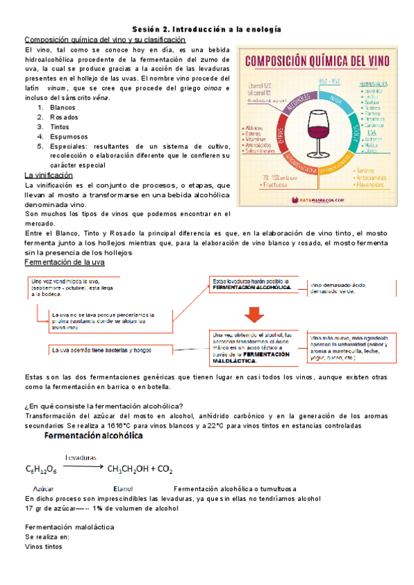 Miniatura del documento Sesion-2.-Introduccion-a-la-enologia.pdf