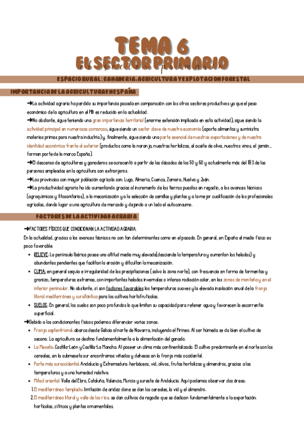 Miniatura del documento SECTOR-PRIMARIO.pdf