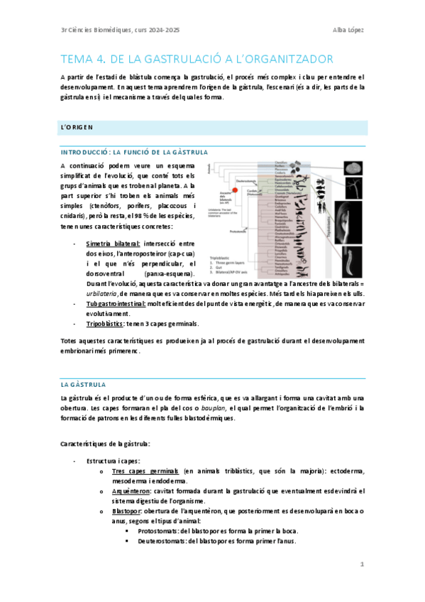 Miniatura del documento Tema-4.-De-la-gastrulacio-a-lorganitzador.pdf