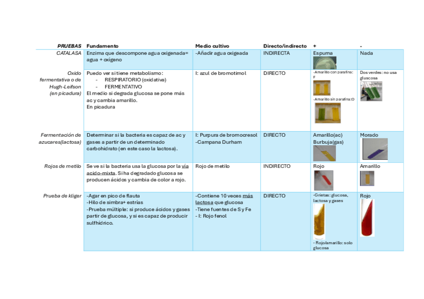 Miniatura del documento PRACTICAS-TABLA-PRUEBAS.pdf