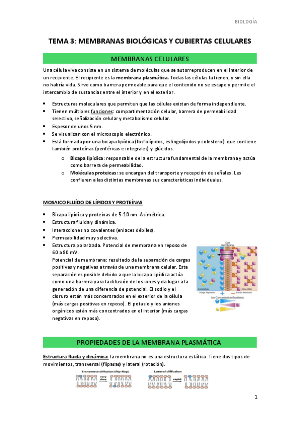 Miniatura del documento TEMA-3.pdf