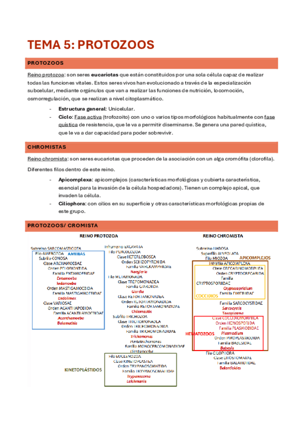 Miniatura del documento TEMA-5-9-PARASITOLOGIA.pdf
