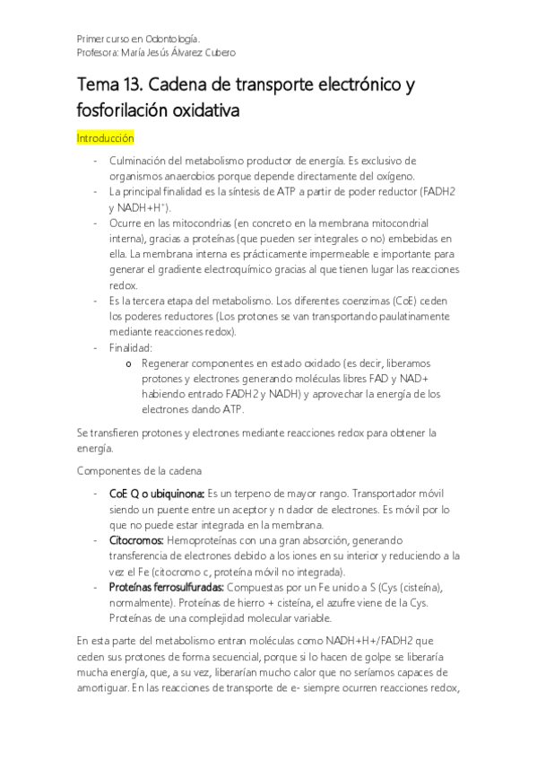 Miniatura del documento Tema 13. Fosforilación Oxidativa.pdf