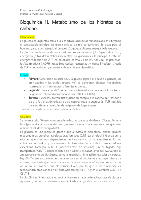 Miniatura del documento Tema 11. Metabolismo de los Hidratos de Carbono.pdf