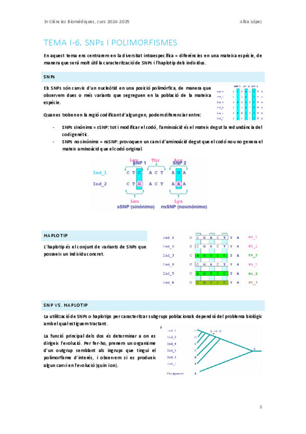 Miniatura del documento Tema-I-6.-SNPs-i-polimorfismes.pdf