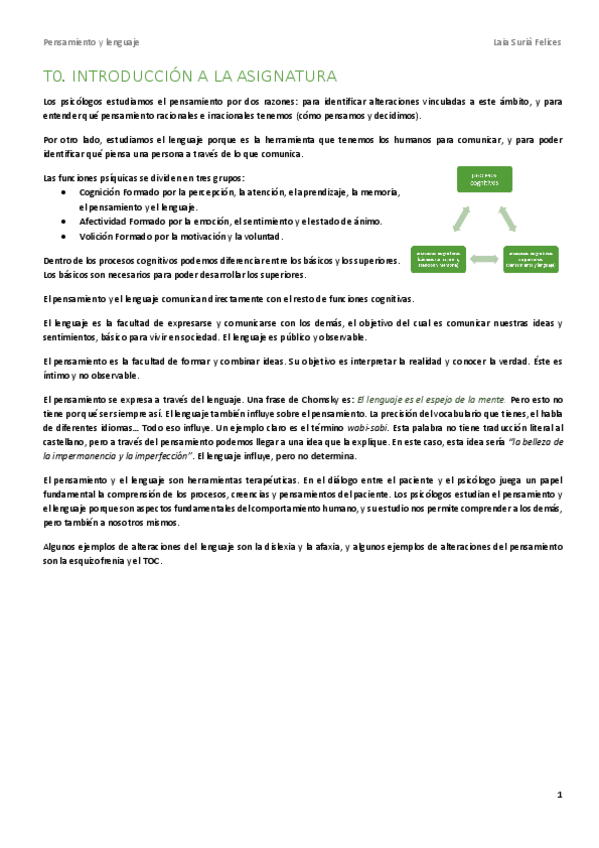 Miniatura del documento PENSAMIENTO-Y-LENGUAJE.pdf