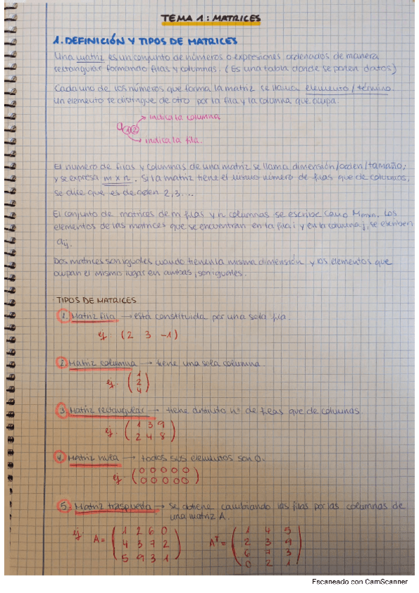 Miniatura del documento MATRICES.pdf