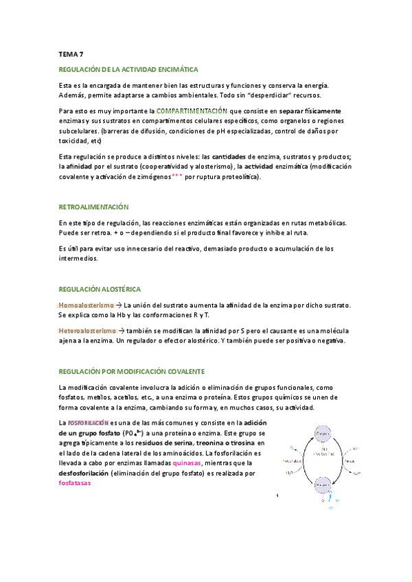 Miniatura del documento TEMA-7.pdf