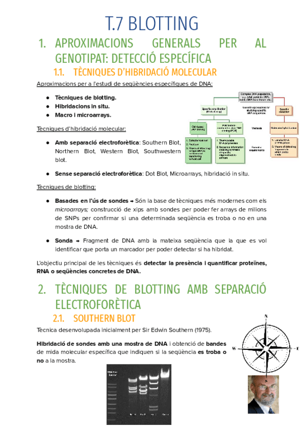 Miniatura del documento T.7-BLOTTING.pdf