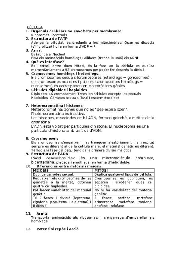 Miniatura del documento Repàs estructura.docx