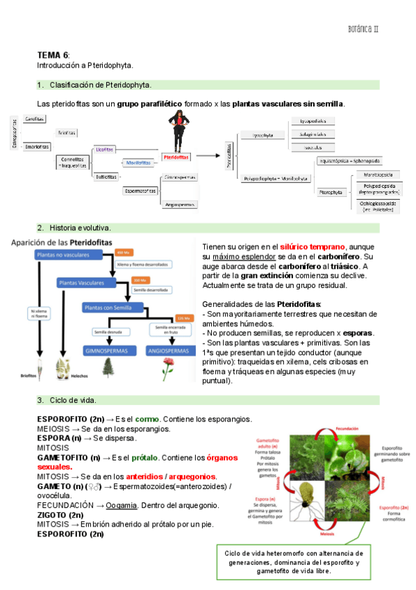 Miniatura del documento TEMA-6-BOT-II.pdf