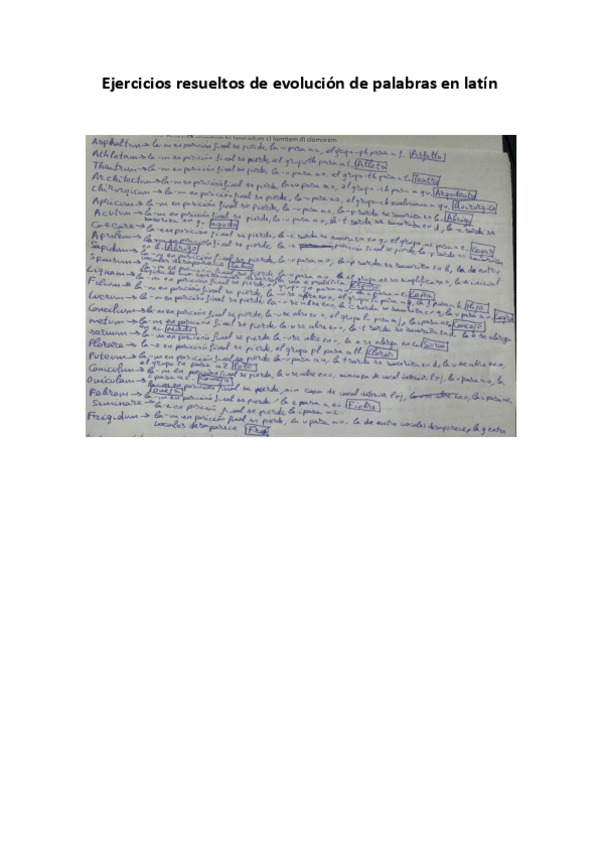 Miniatura del documento Ejercicios-resueltos-de-evolucion-de-palabras-en-latin.pdf