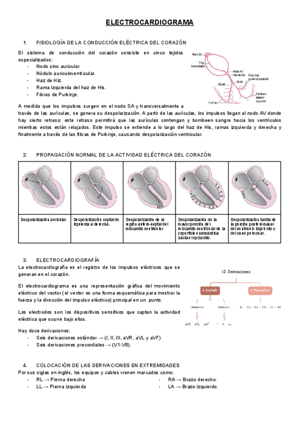Miniatura del documento ELECTROCARDIOGRAMA.pdf